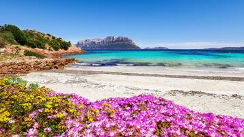 Villa | 1 Schlafzimmer