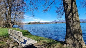 Penkki järven rannalla, taustalla puu ja vuoret.