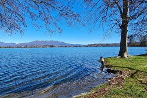 Ein klarer See mit einem Baum und einer grasbewachsenen Fläche im Vordergrund.