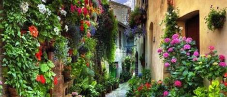 Apartment | 1 bedroom