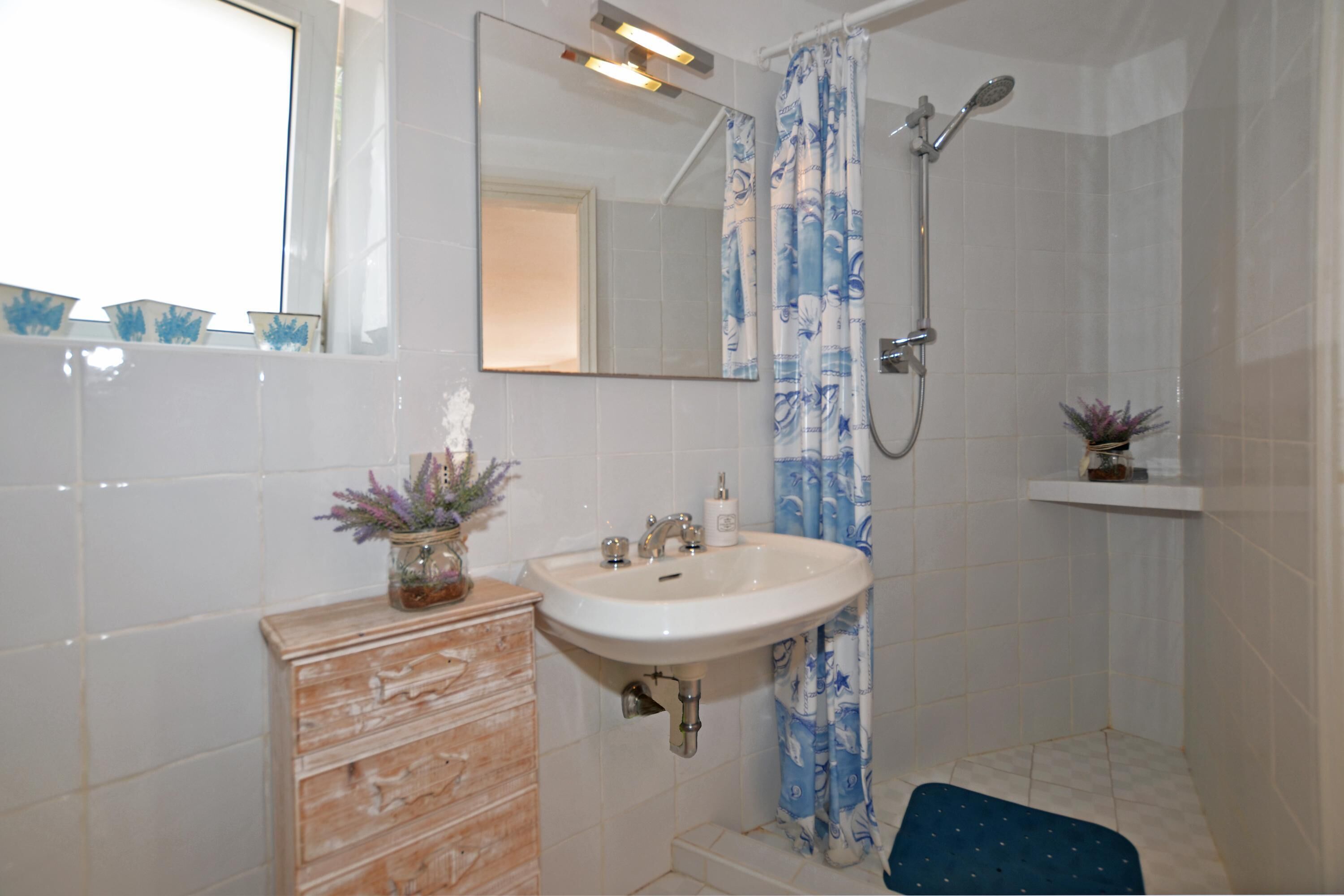A bathroom with a sink, mirror, shower, and a small shelf with a plant.