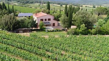 Villa, Accessible | 8 bedrooms