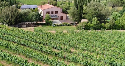 Tenuta Di Litiano With Pool