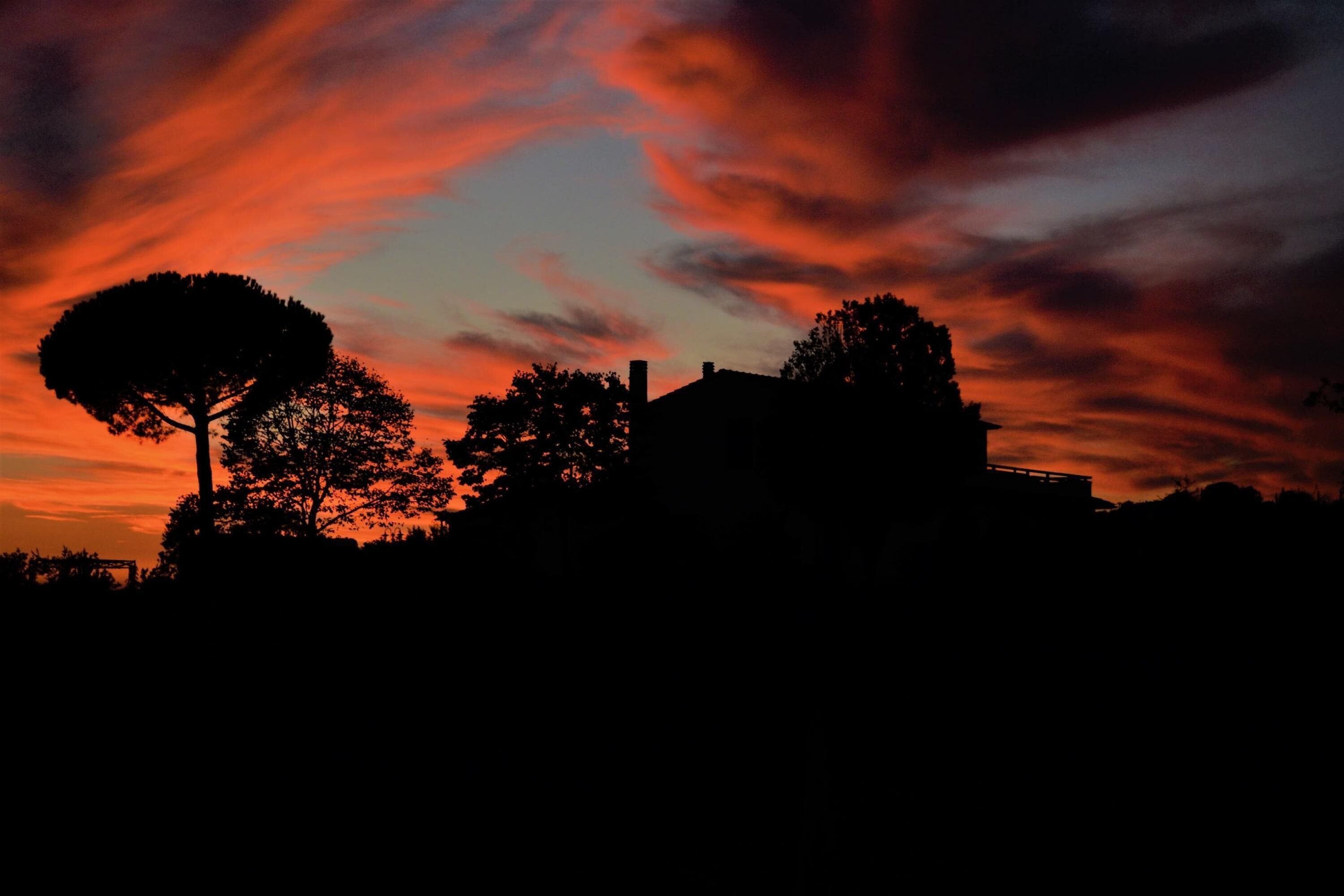 A silhouette of a building with a prominent tree in front, set against a sunset sky with red and orange hues.