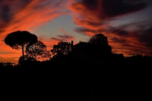 A silhouette of a building with a prominent tree in front, set against a sunset sky with red and orange hues. - Tenuta Di Litiano With Pool (Roccastrada)
