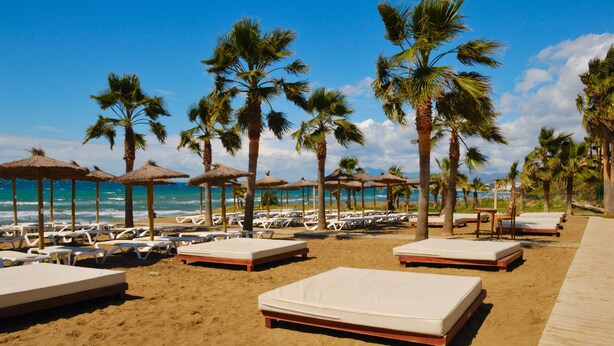 A beachside hotel with rows of sunbeds and palm trees, overlooking the ocean. - Hacienda Playa Beach And Pool (Marbella)