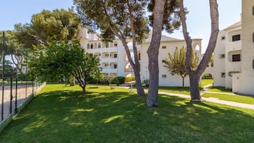 Apartment, Accessible