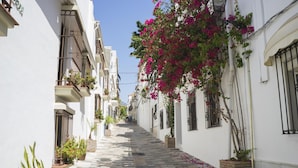Ένας στενός δρόμος με λευκά κτίρια, μπαλκόνια στολισμένα με γλάστρες και φυτά, και ένα δέντρο με ροζ άνθη.