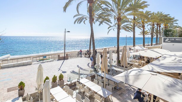 Une terrasse en bord de mer avec des places assises à l’extérieur, des palmiers et une vue sur l’océan.