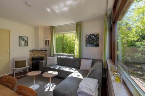 Télévision, cheminée