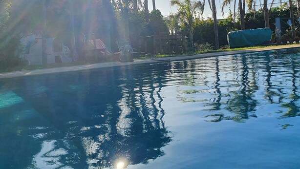 Una piscina cristalina con reflejos de palmeras y cielo despejado.