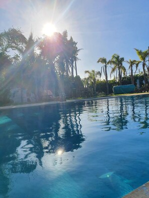 A clear swimming pool with reflections of palm trees and a clear sky. - Elaaz Horse Fame (Oulad Rahmoune)