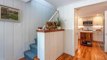 A staircase with a wooden handrail and a blue patterned chair at the bottom. A kitchen with white cabinets and a microwave is visible in the background.