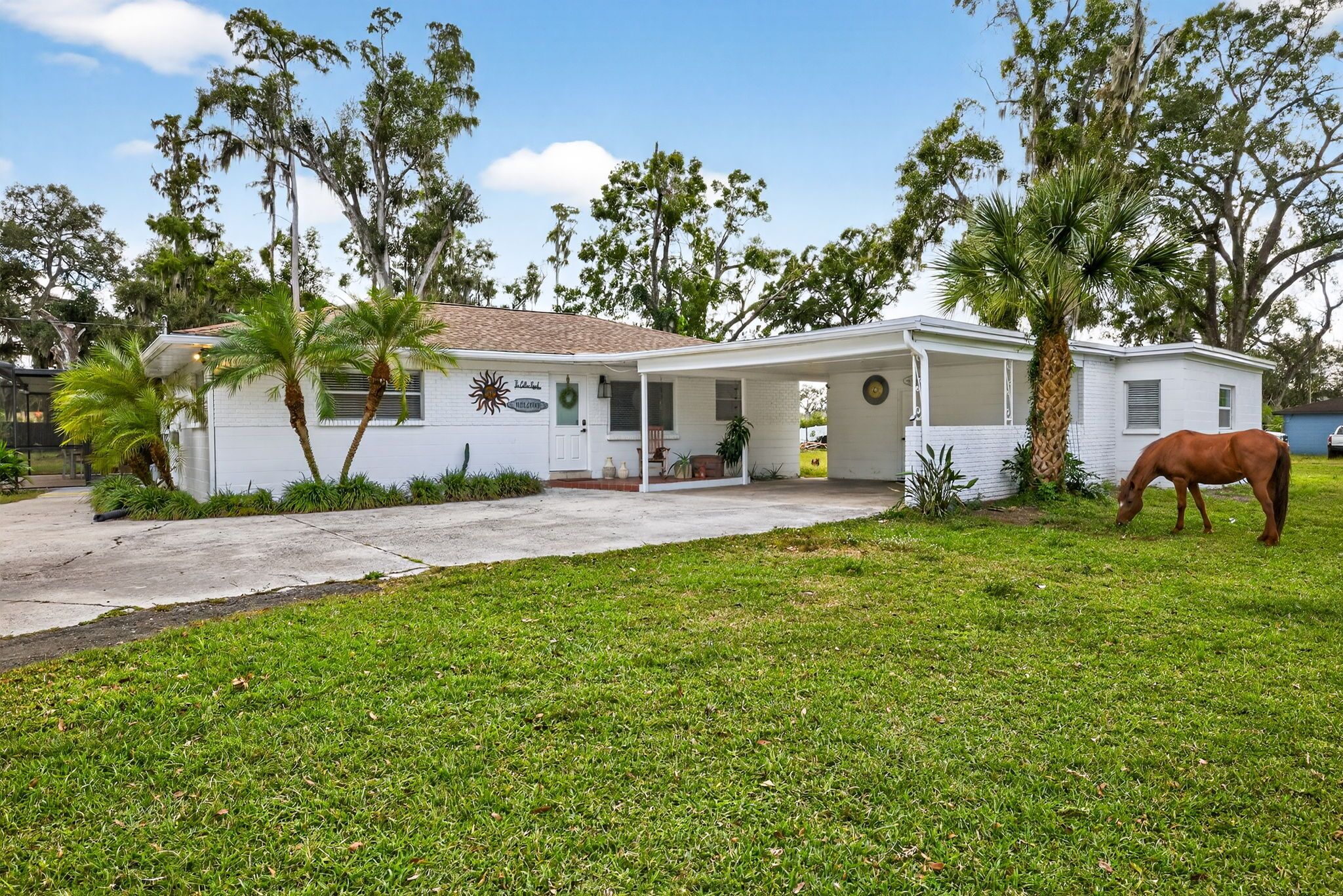 A single-story house with a covered porch, surrounded by a well-maintained lawn and palm trees.
