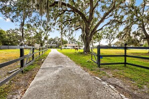 Property grounds - Callco Ranch Charming 3-bedroom+2 bathroom Ranch in nice Tampa with AC, WiFi (Tampa)