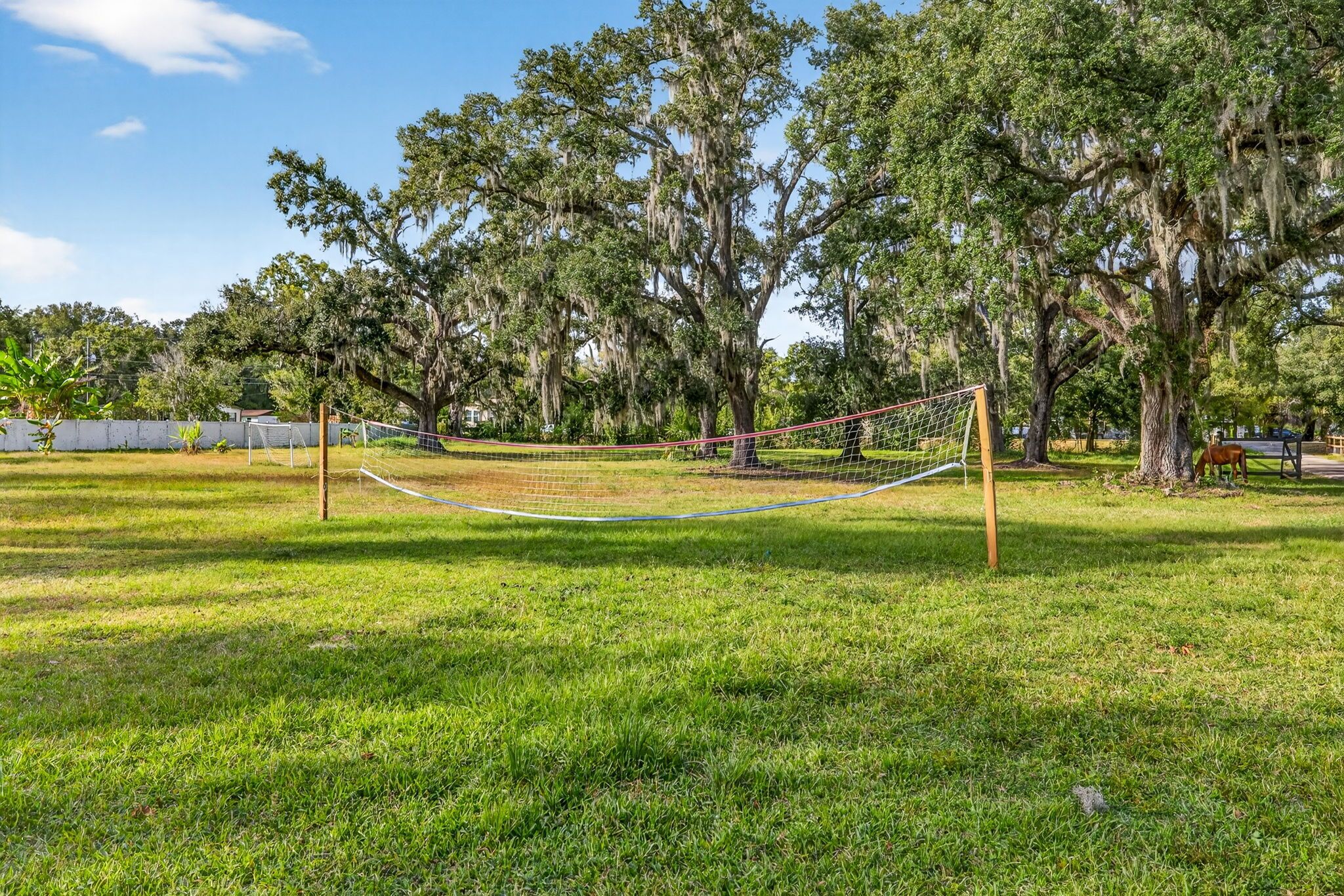 A volleyball net in a grassy area with trees and a fence in the background.