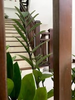 Uma escadaria com guarda-corpos de madeira e uma planta em primeiro plano.