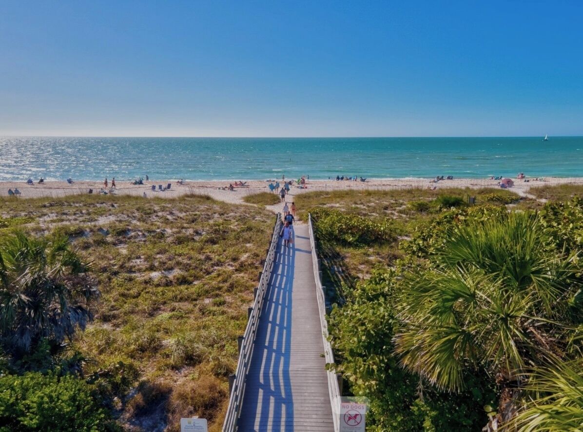 Chaises longues, serviettes de plage