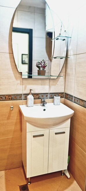 A bathroom with a white sink, a mirror, and a small plant on the sink.