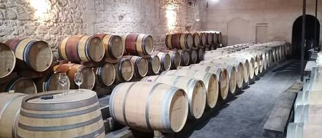 A cellar with wooden barrels arranged in rows, a stone wall, and a wooden ceiling.