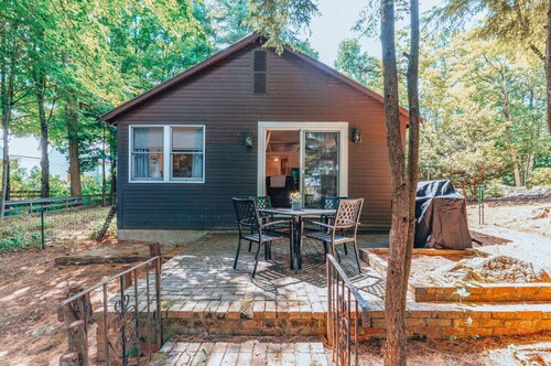 Cozy dog friendly cabin moments from Cranmore/NOCO