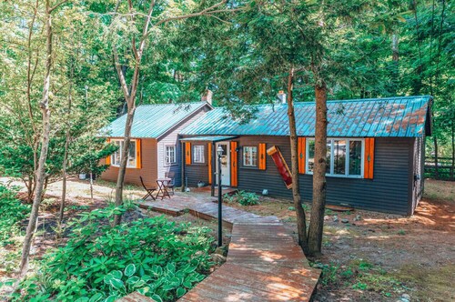 Cozy dog friendly cabin moments from Cranmore/NOCO