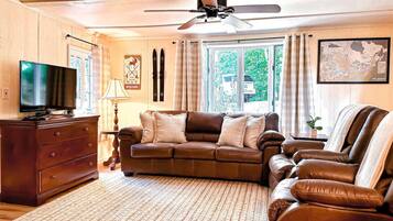 Smart TV, fireplace, books