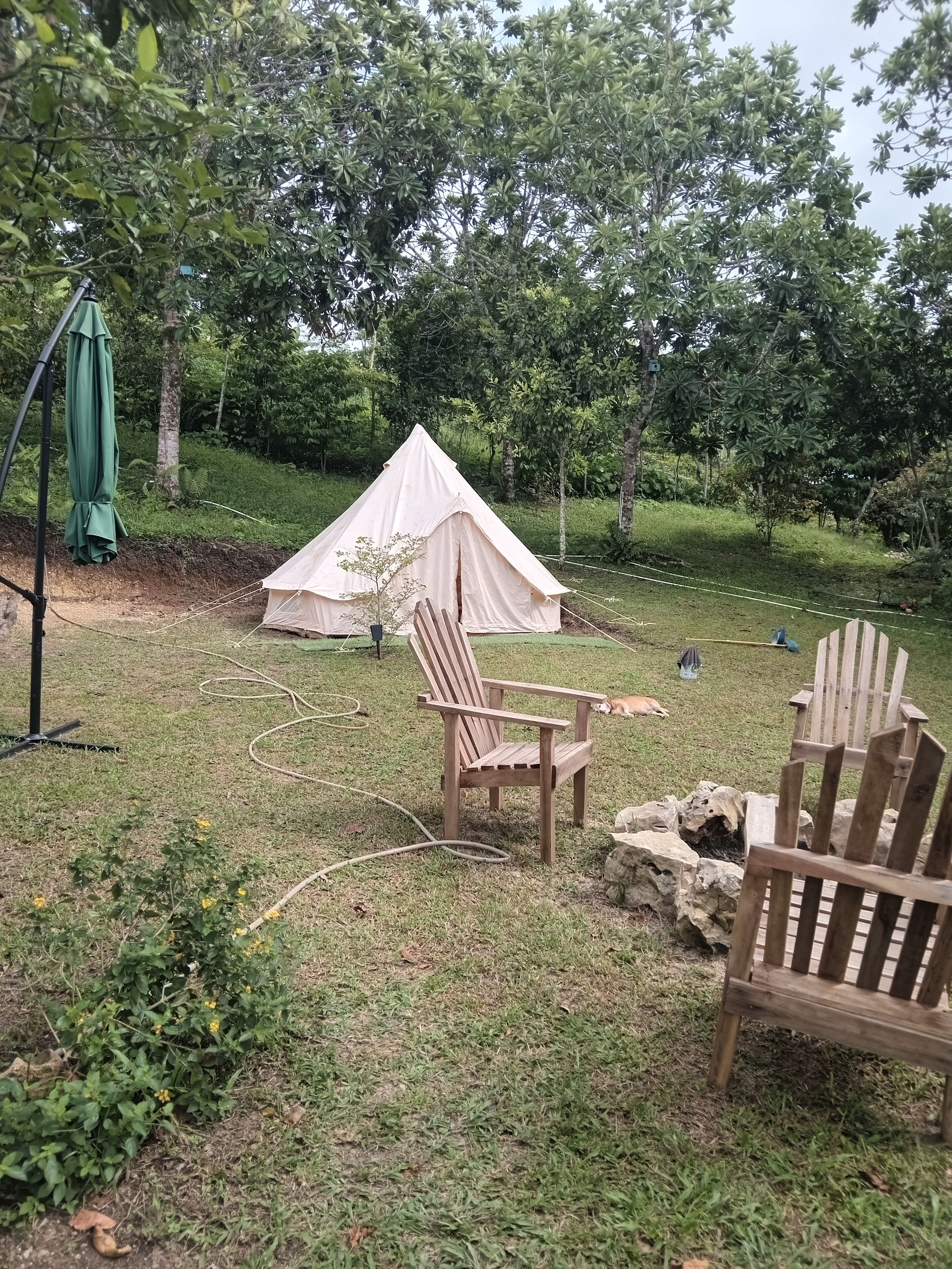 Áreas de la propiedad