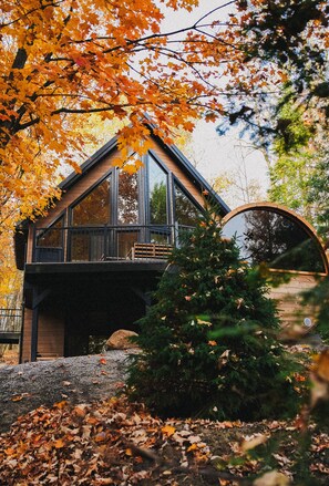 Exterior - Modern Cottage in Muskoka. Sauna, hot tub, lake water access and kids room. (Huntsville)