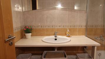 Hair dryer, bidet, towels