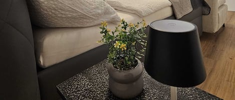 2 chambres, fer et planche Ă repasser, Wi-Fi, draps fournis
