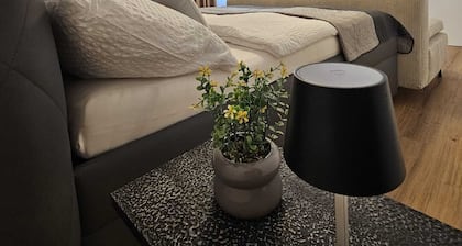 City oasis Wels II