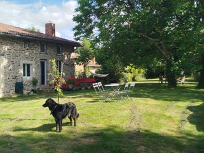 Restauration en plein air