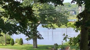 Vista de un lago desde una terraza de madera con un sendero pavimentado que conduce a él.
