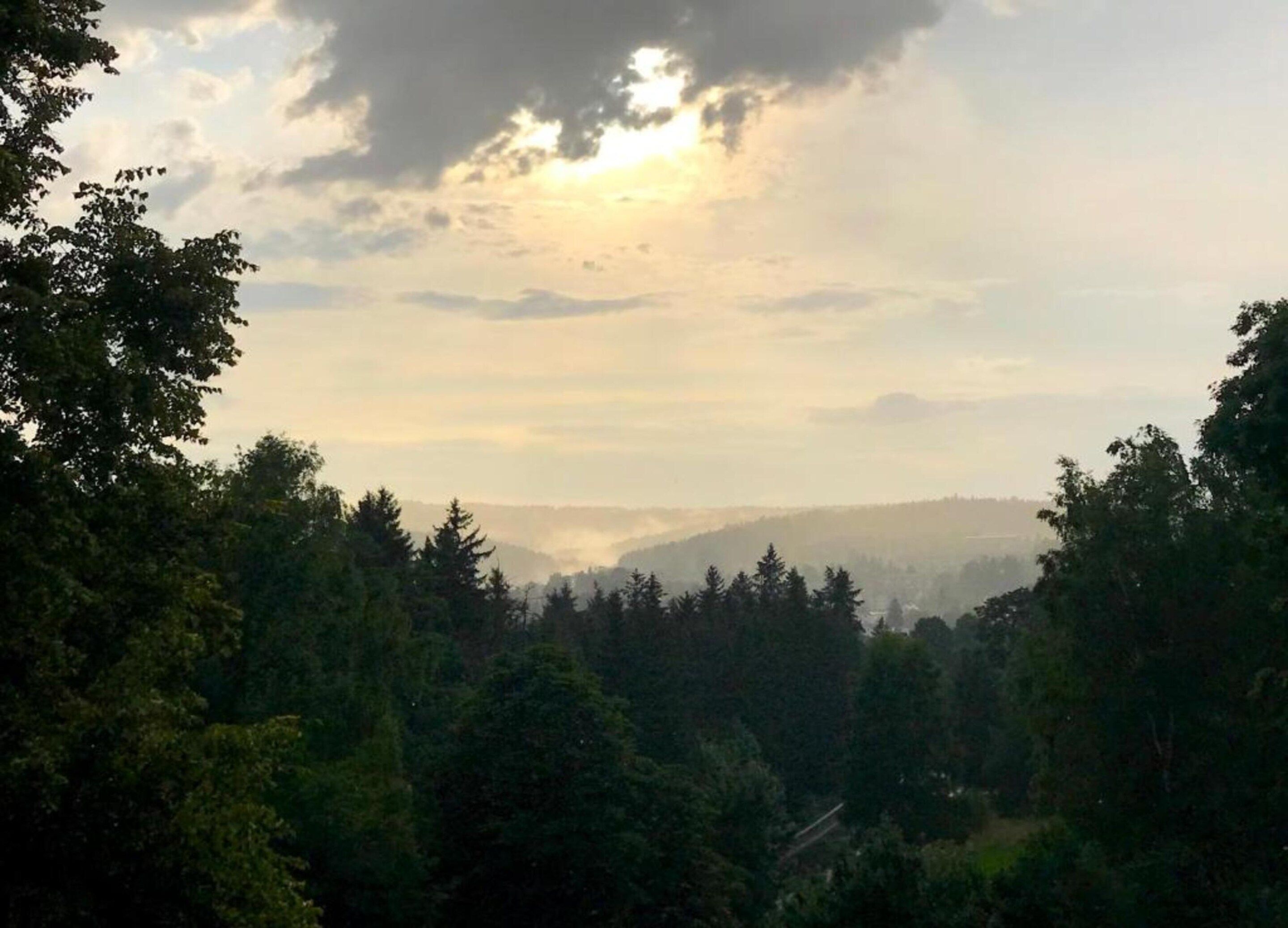 A forested landscape with a view of distant hills and a cloudy sky.