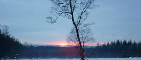 A snowy landscape with a tree in the foreground and a sunset in the background.