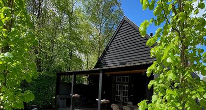 Apartment in Wageningen Near Rhine River