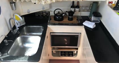 MAVERICK 2-bedroom SAILING N HOUSE boat in Pontal Paraty