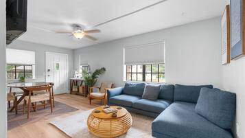 Smart TV, books, computer monitors