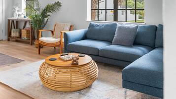 Smart TV, books, computer monitors