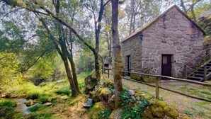 Un bâtiment en pierre doté d’une porte en bois, entouré d’une végétation luxuriante et d’arbres.