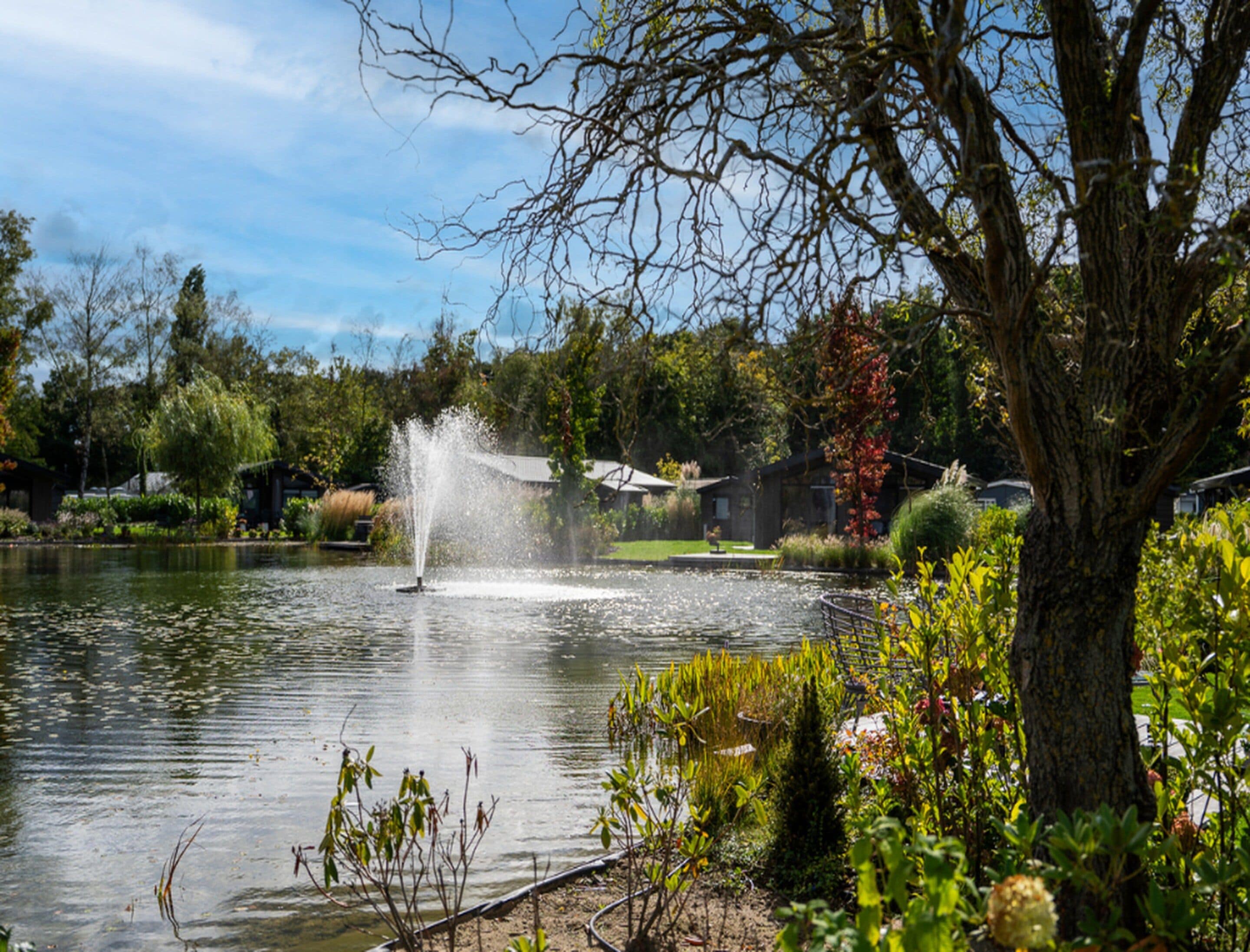 A tranquil pond with a fountain, surrounded by lush greenery and trees.