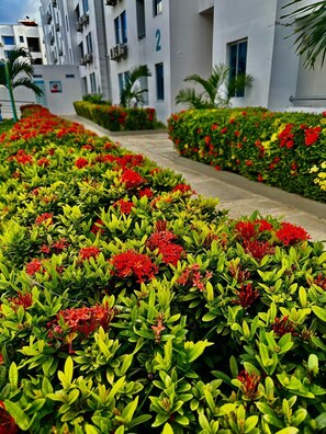 Property grounds - Charming apartment with AC in gorgeous Coveñas (Coveñas)