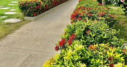 Charming apartment with AC in gorgeous Coveñas