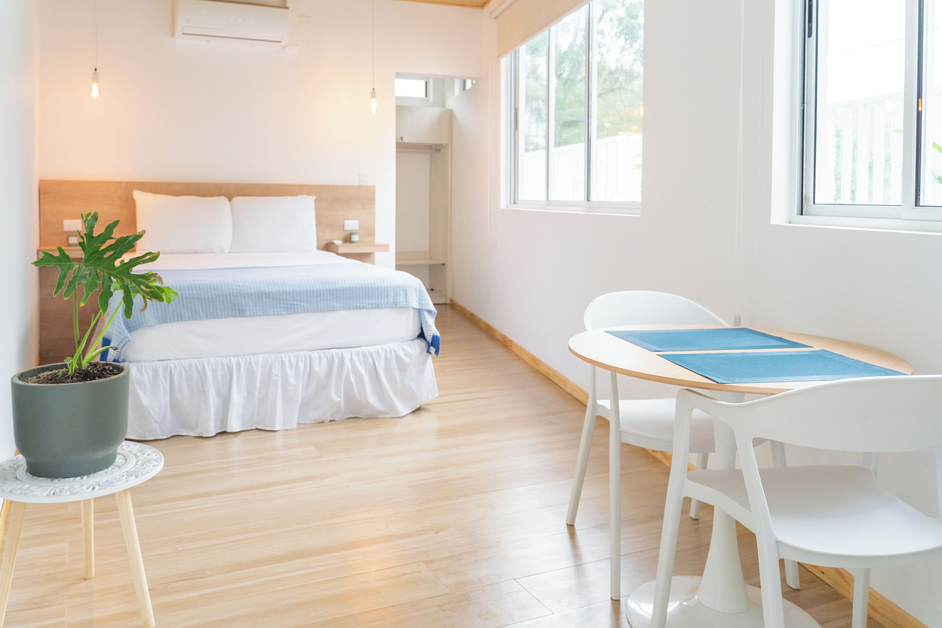 A modern hotel room with a bed, bedside table, potted plant, and a window with a view.
