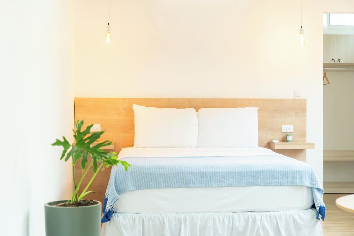A neatly arranged bedroom with a bed, bedside table, and a potted plant.