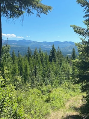 Escape to a serene forest setting with a breathtaking view of distant mountains.