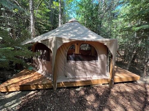 Cozy yurt nestled in a private forest