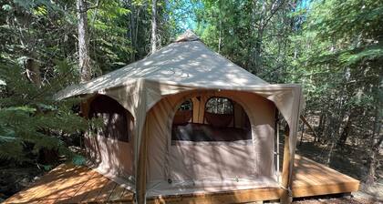 Cozy yurt nestled in a private forest