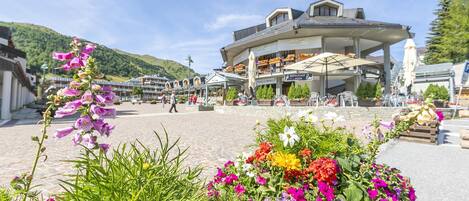 Apartment | 1 bedroom